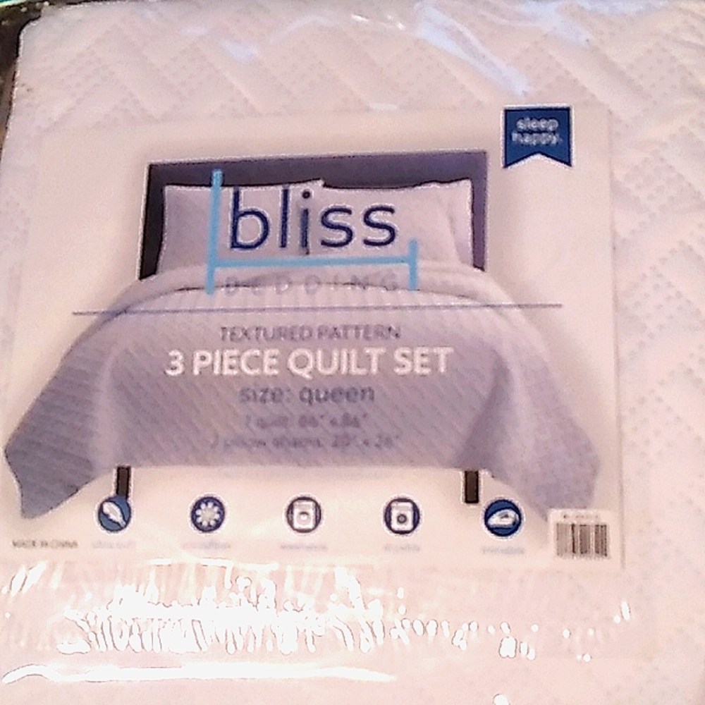 Bliss 3 piece Quilt Set Queen size